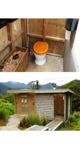 WCTNZ Customer Testimonial